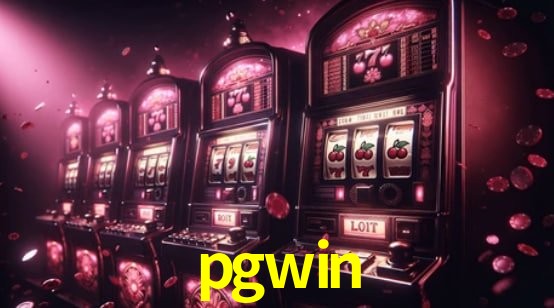 Interface Premium pgwin